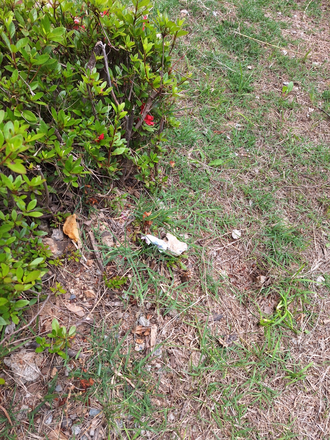 3-4반 김태언/ 2-2 김민제 